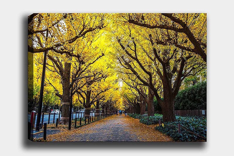 Decoratiivinen Canvas-taulu 50x70, undefined