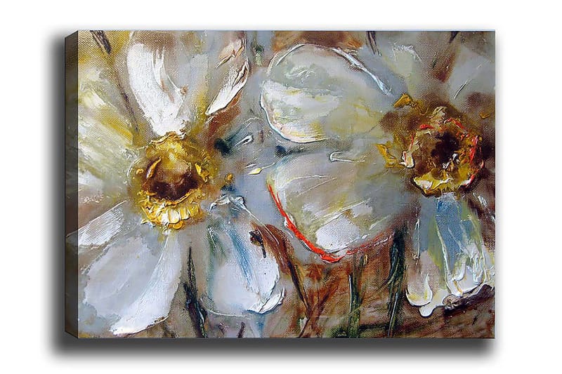 Decoratiivinen Canvas-taulu 50x70, undefined