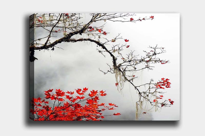 Decoratiivinen Canvas-taulu 70x100 - Sisustustuotteet - Taulu & taide - Canvas-taulu