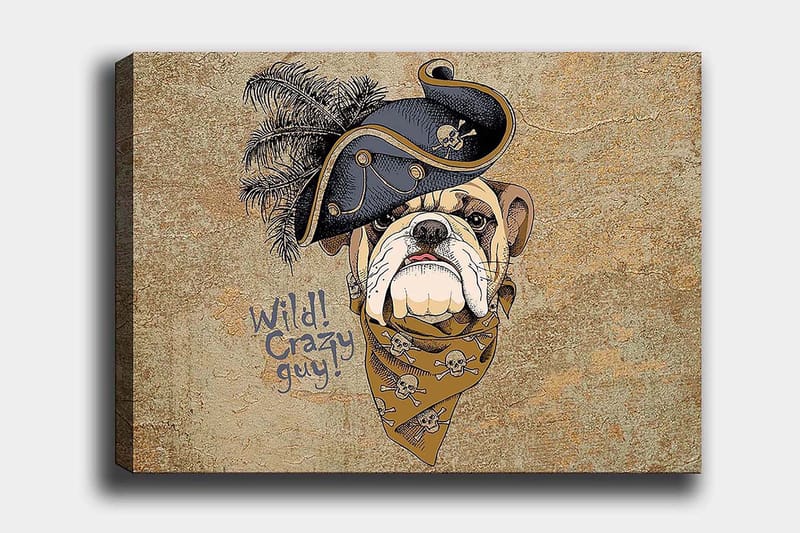 Decoratiivinen Canvas-taulu 70x100, undefined