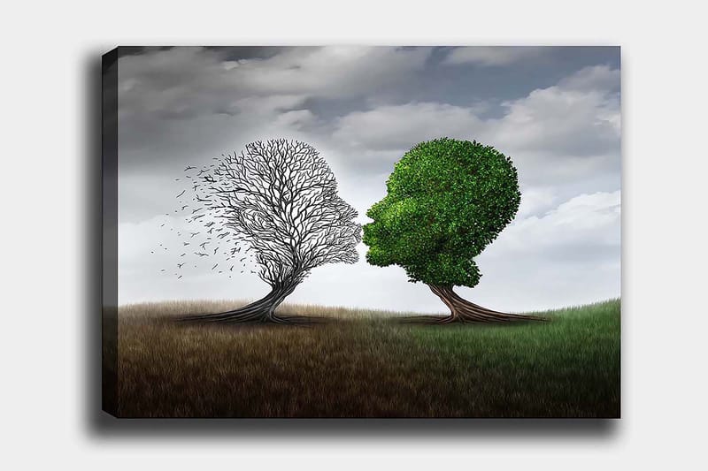 Decoratiivinen Canvas-taulu 70x100, undefined