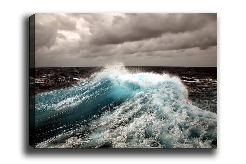 Decoratiivinen Canvas-taulu 70x100, undefined