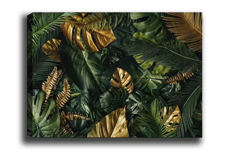 Decoratiivinen Canvas-taulu 70x100, undefined