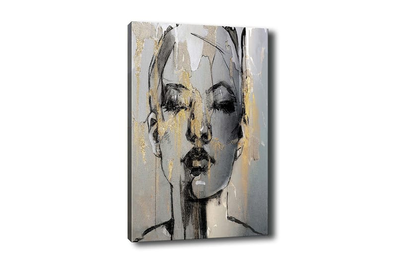 Decoratiivinen Canvas-taulu 70x100, undefined