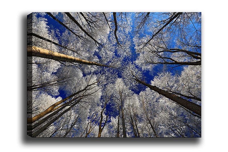 Decoratiivinen Canvas-taulu 70x100, undefined