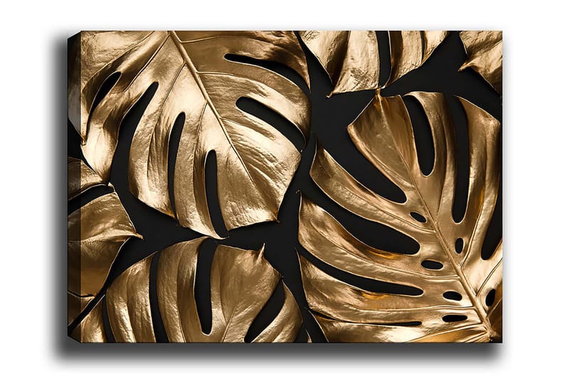 Decoratiivinen Canvas-taulu 70x100, undefined