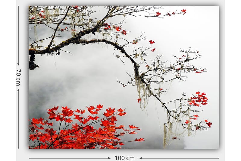 Decoratiivinen Canvas-taulu 70x100 - Sisustustuotteet - Taulu & taide - Canvas-taulu