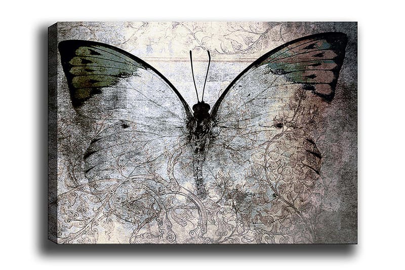 Decoratiivinen Canvas-taulu 70x100, undefined