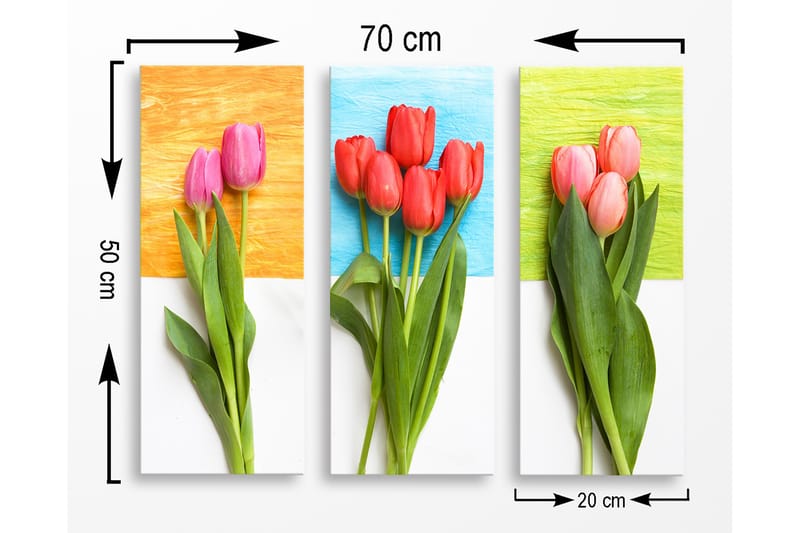 Decoratiivinen MDF-taulu (3 osaa) 20x50 - Sisustustuotteet - Taulu & taide - Canvas-taulu