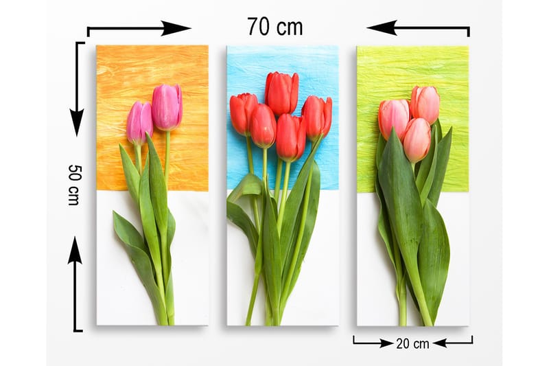 Decoratiivinen MDF-taulu (3 osaa) 20x50 - Sisustustuotteet - Taulu & taide - Canvas-taulu