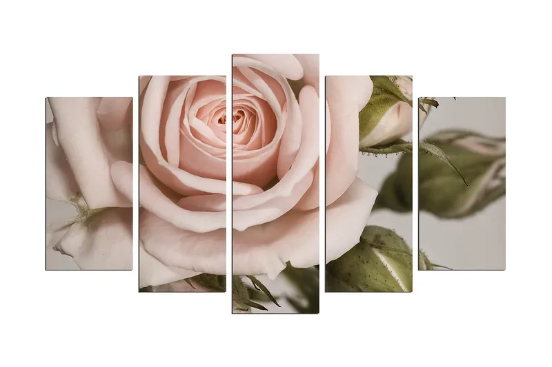 Decoratiivinen MDF-taulu (5 osaa) 20x60, undefined