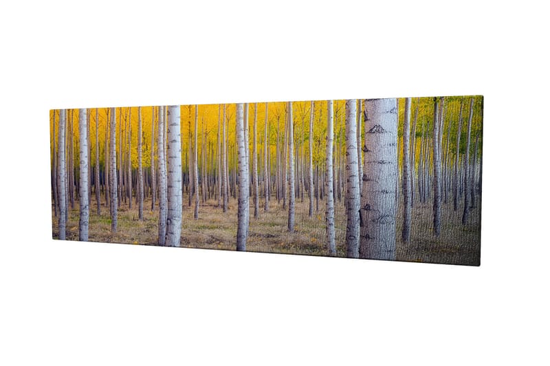 Dekoratiivinen Canvas-taulu 30x80 - Sisustustuotteet - Taulu & taide - Canvas-taulu