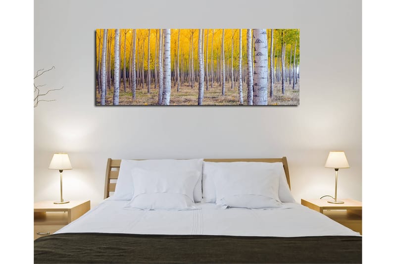 Dekoratiivinen Canvas-taulu 30x80 - Sisustustuotteet - Taulu & taide - Canvas-taulu