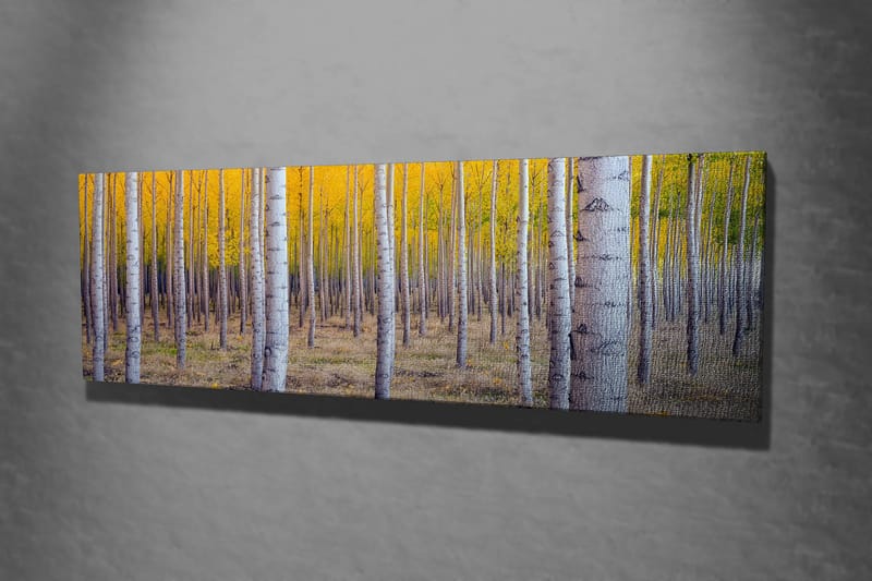 Dekoratiivinen Canvas-taulu 30x80 - Sisustustuotteet - Taulu & taide - Canvas-taulu