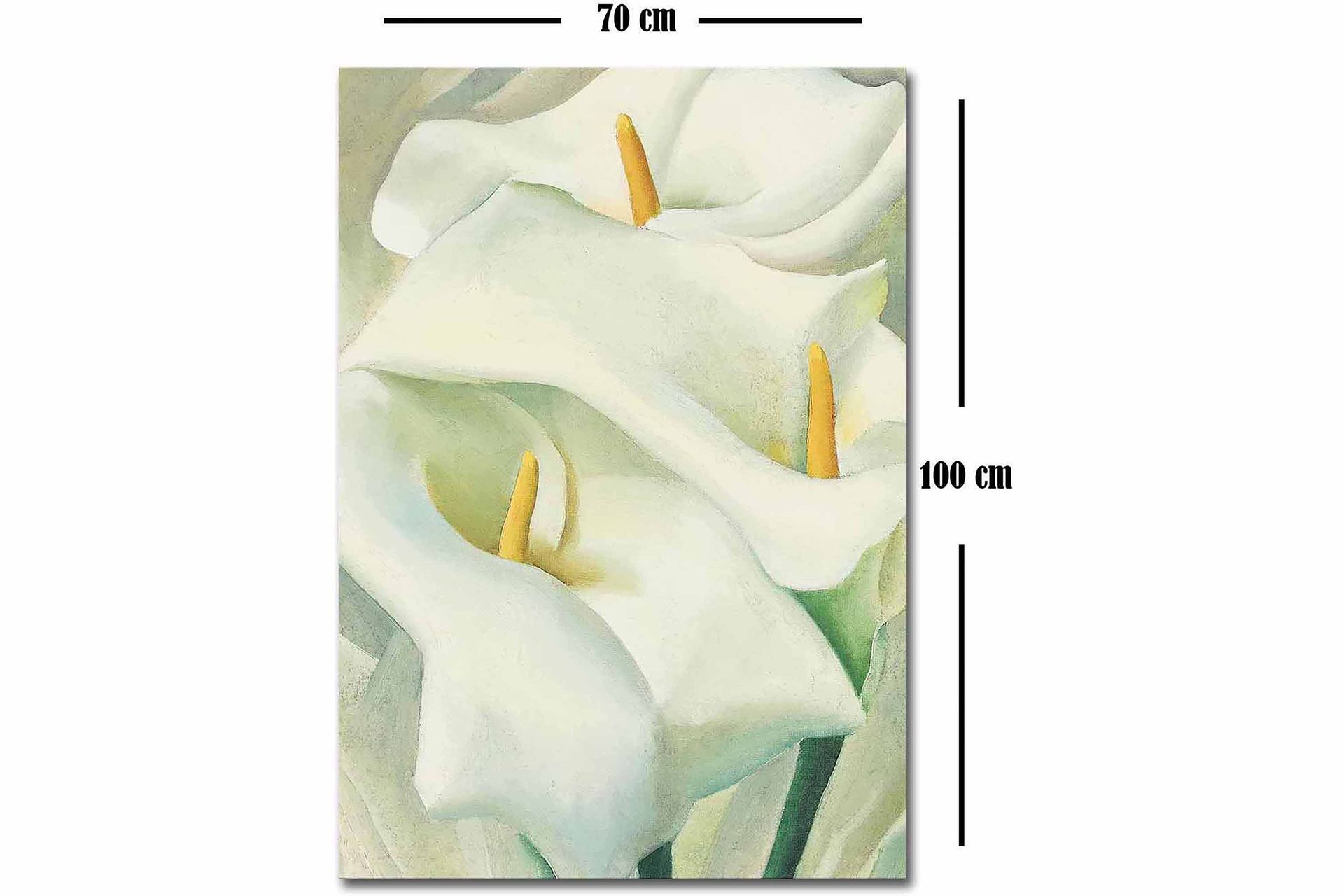 Dekoratiivinen Canvas-taulu 70x100 - Sisustustuotteet - Taulu & taide - Canvas-taulu