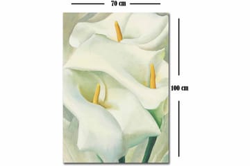 Dekoratiivinen Canvas-taulu 70x100 - Sisustustuotteet - Taulu & taide - Canvas-taulu