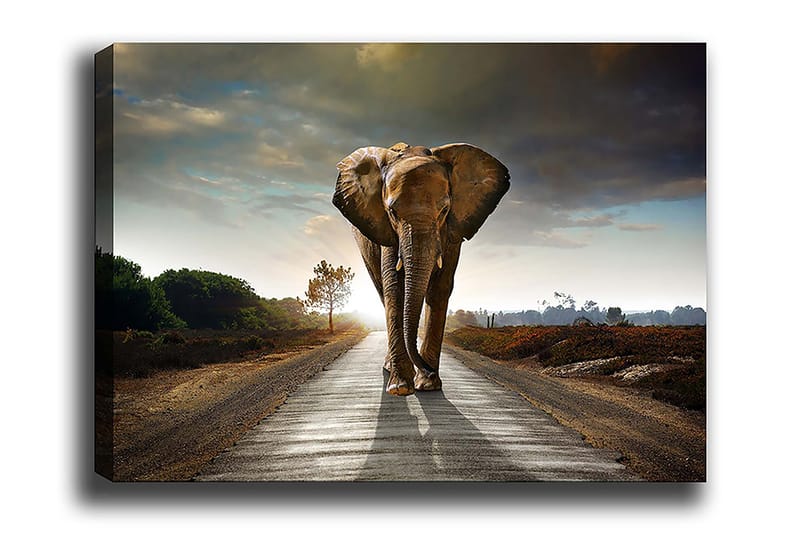 Dekoratiivinen Canvas-taulu 70x100 - Sisustustuotteet - Taulu & taide - Canvas-taulu
