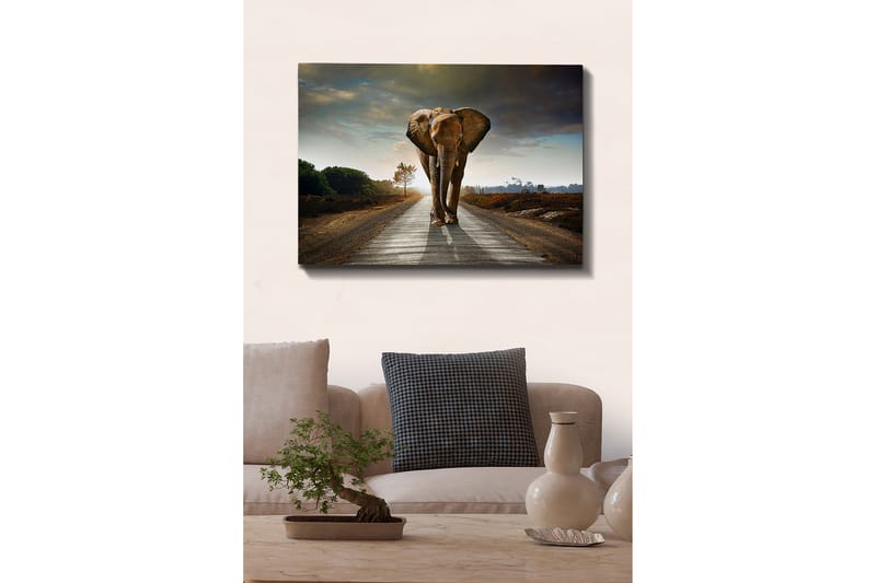 Dekoratiivinen Canvas-taulu 70x100 - Sisustustuotteet - Taulu & taide - Canvas-taulu
