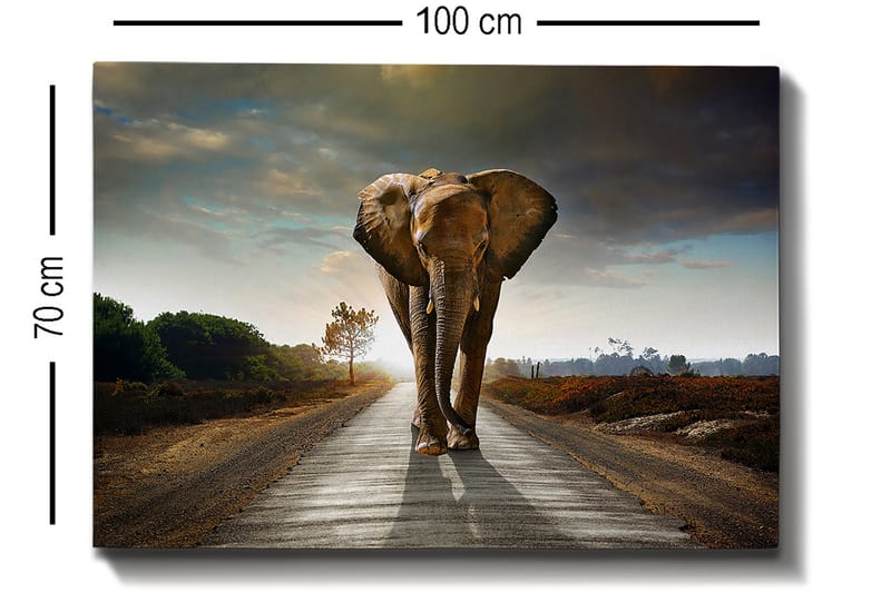 Dekoratiivinen Canvas-taulu 70x100 - Sisustustuotteet - Taulu & taide - Canvas-taulu