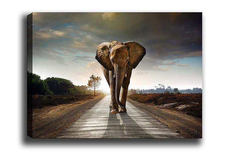 Dekoratiivinen Canvas-taulu 70x100, undefined