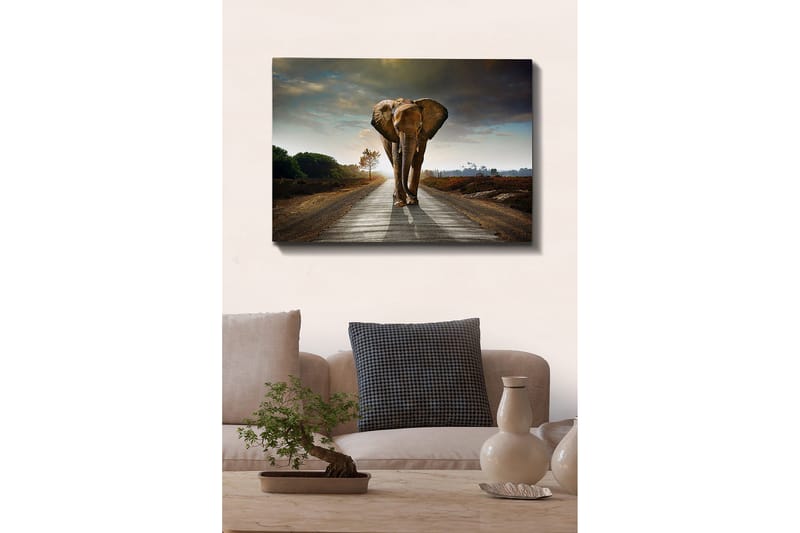 Dekoratiivinen Canvas-taulu 70x100 - Sisustustuotteet - Taulu & taide - Canvas-taulu