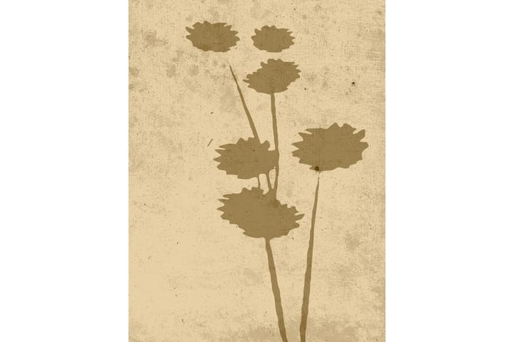 Juliste Flower art 30x40 cm - Beige - Juliste