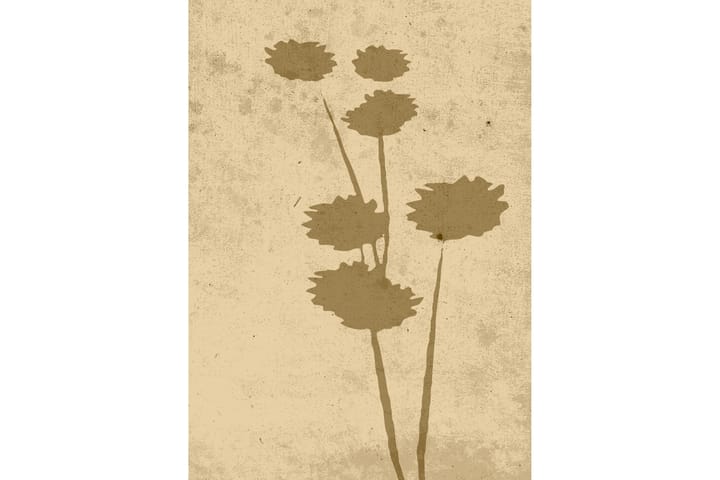 Juliste Flower art 50x70 cm - Beige - Juliste