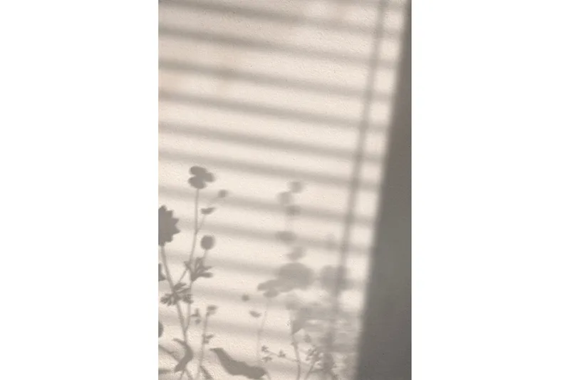 Juliste Flower Shadow 50x70 cm - Valkoinen - Sisustustuotteet - Taulu & taide - Juliste