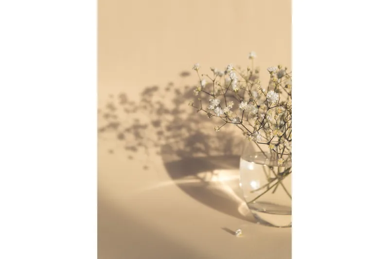 Juliste White Flowers 21x30 cm, Beige