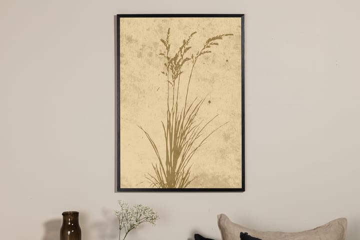 Juliste Plant art 70x100 cm - Beige - Juliste