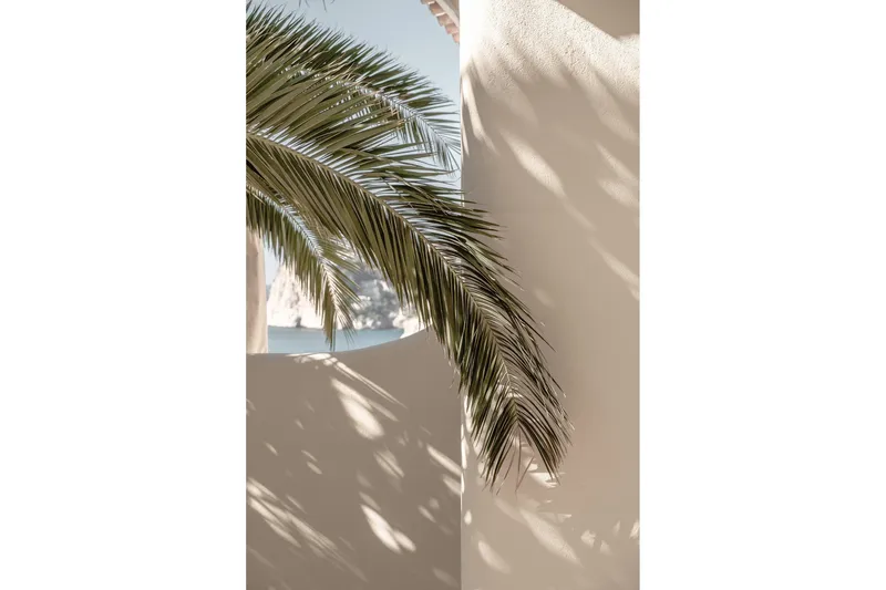 Juliste Palmleaf 30x40 cm, Beige