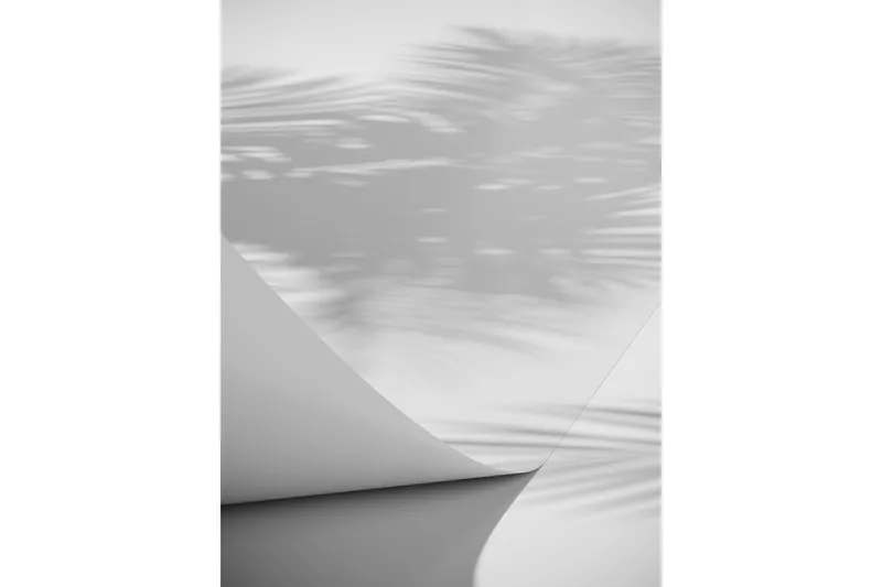 Juliste Papyrus 30x40 cm - Valkoinen - Sisustustuotteet - Taulu & taide - Juliste
