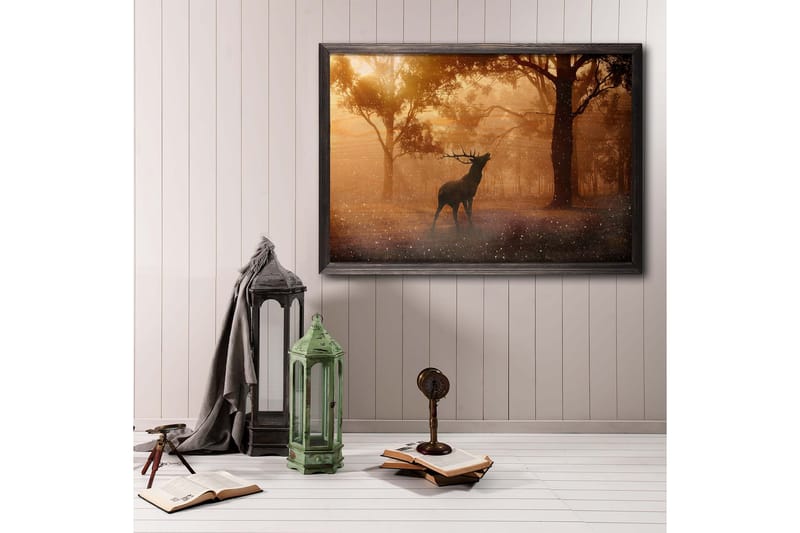 Deer At Dawn Kuva Orange/Ruskea - 70x50 cm - Eläin juliste - Juliste