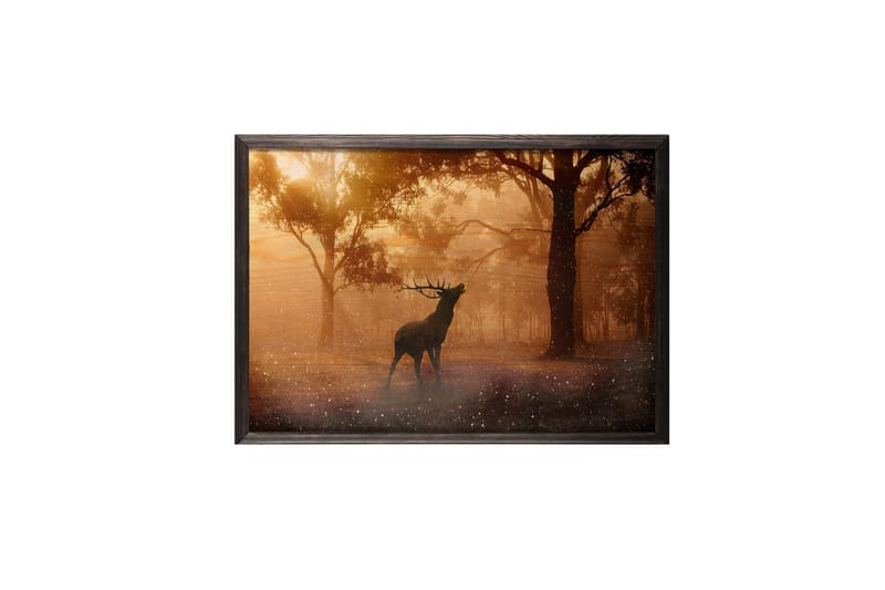 Deer At Dawn Kuva Orange/Ruskea - 70x50 cm - Sisustustuotteet - Taulu & taide - Juliste - Eläin juliste