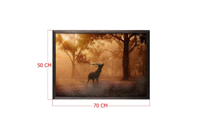 Deer At Dawn Kuva Orange/Ruskea - 70x50 cm - Sisustustuotteet - Taulu & taide - Juliste - Eläin juliste