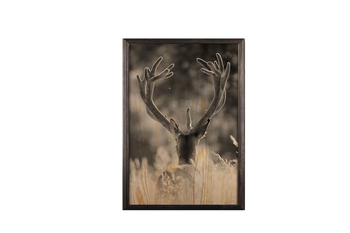 Deer In The Field Maalaus/Kuva Harmaa/Beige - 50x70 cm - Juliste - Eläin juliste