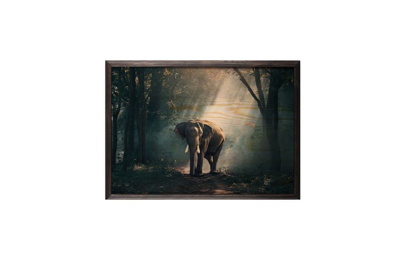 Elephant In The Djungle Kuva Vihreä/Beige - 70x50 cm - Sisustustuotteet - Taulu & taide - Juliste - Eläin juliste