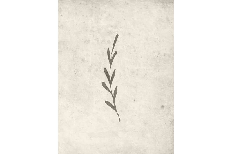 Juliste Autumn leaf 30x40 cm - Beige - Sisustustuotteet - Taulu & taide - Juliste
