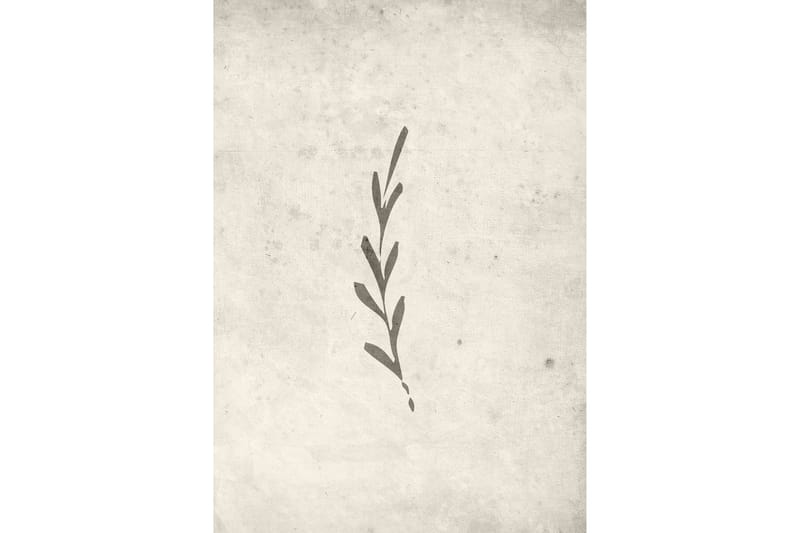 Juliste Autumn leaf 70x100 cm, Beige