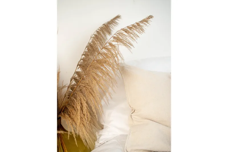 Juliste Bohemian 30x40 cm, Beige