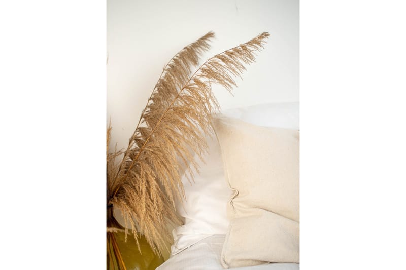 Juliste Bohemian 50x70 cm, Beige