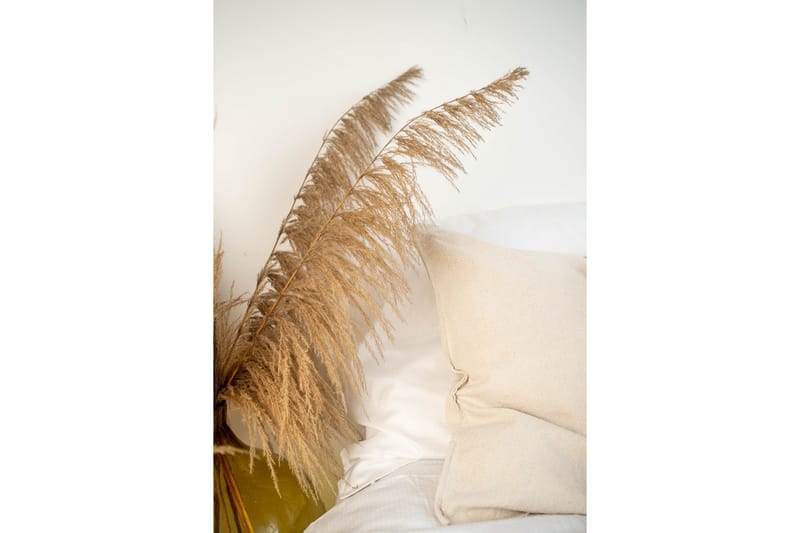 Juliste Bohemian 70x100 cm - Beige - Sisustustuotteet - Taulu & taide - Juliste