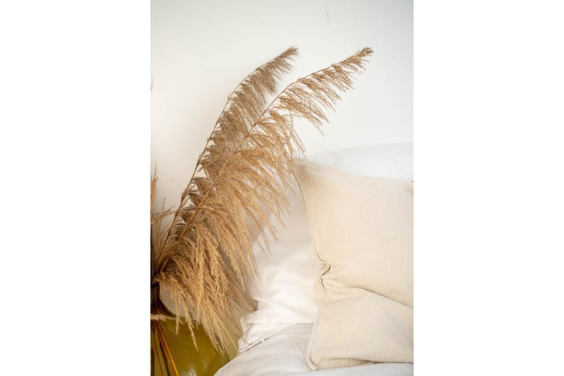 Juliste Bohemian 70x100 cm, Beige