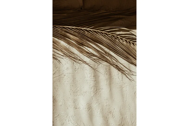 Juliste Dessert 21x30 cm, Beige