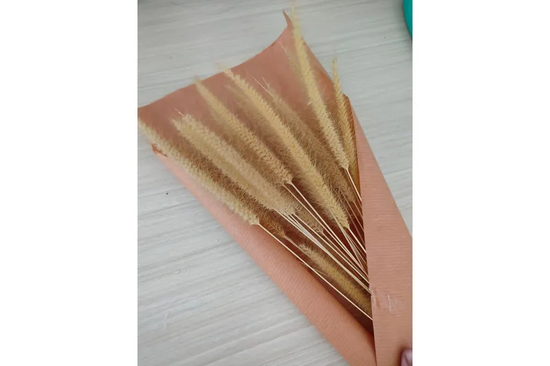 Juliste Dry flowers 30x40 cm, Roosa/Beige