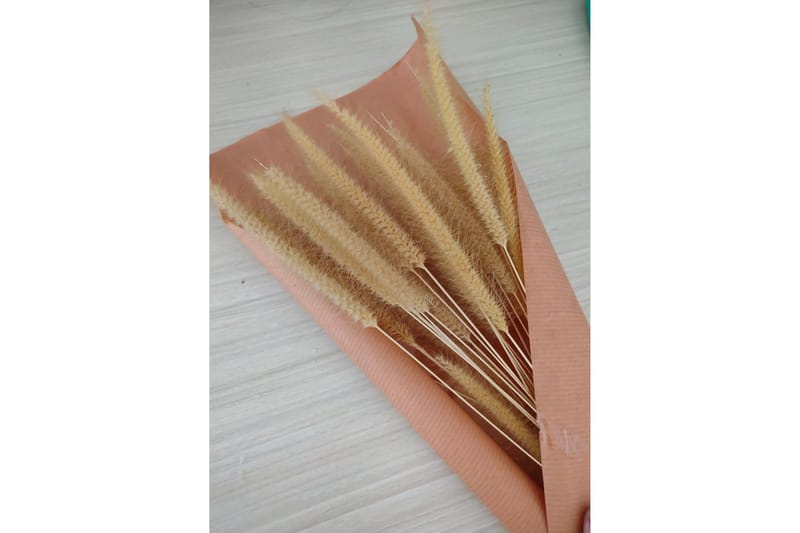 Juliste Dry flowers 50x70 cm, Roosa/Beige