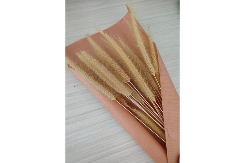 Juliste Dry flowers 70x100 cm, Roosa/Beige