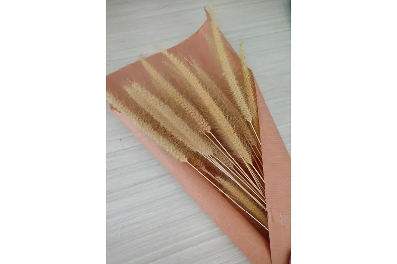 Juliste Dry flowers 70x100 cm, Roosa/Beige