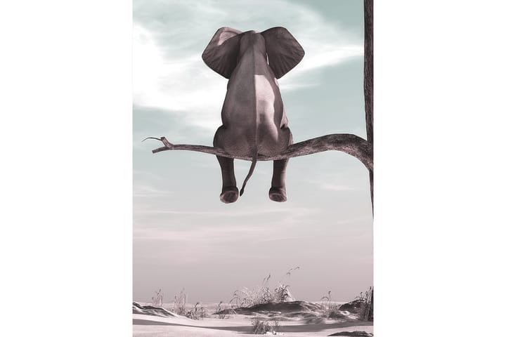 Juliste Elephant 50x70 cm - Monivärinen - Juliste