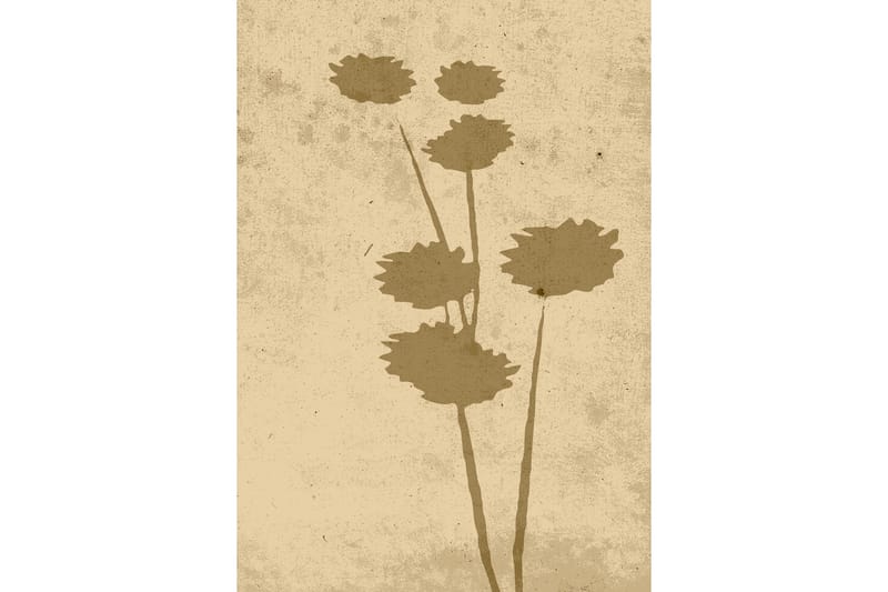 Juliste Flower art 21x30 cm, Beige